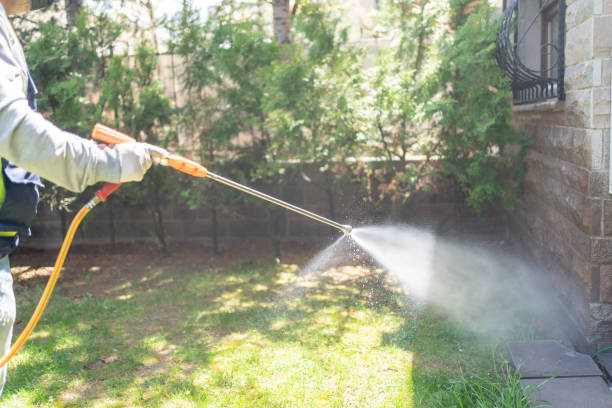 Best Best Pest Control Companies  in Buckeye Lake, OH